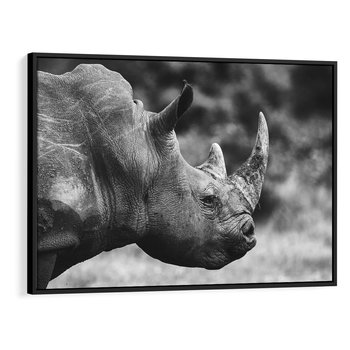 Obraz w ramie 70x50 - Potęga Afryki - czarno biała fotografia, zbliżenie na postać nosorożca - rama czarna