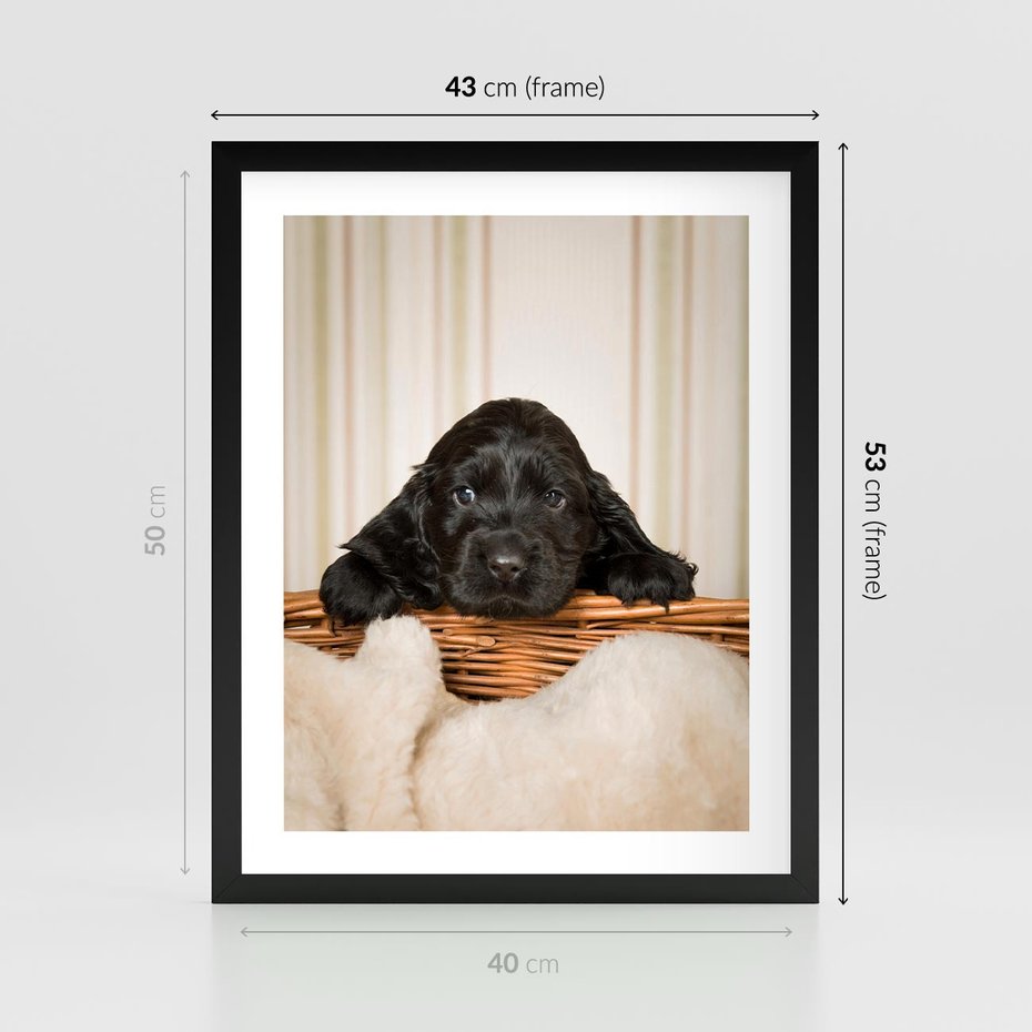 Plakat w ramie 40x50 - Uroczy szczeniak w akcji - piesek, szczeniak - rama czarna