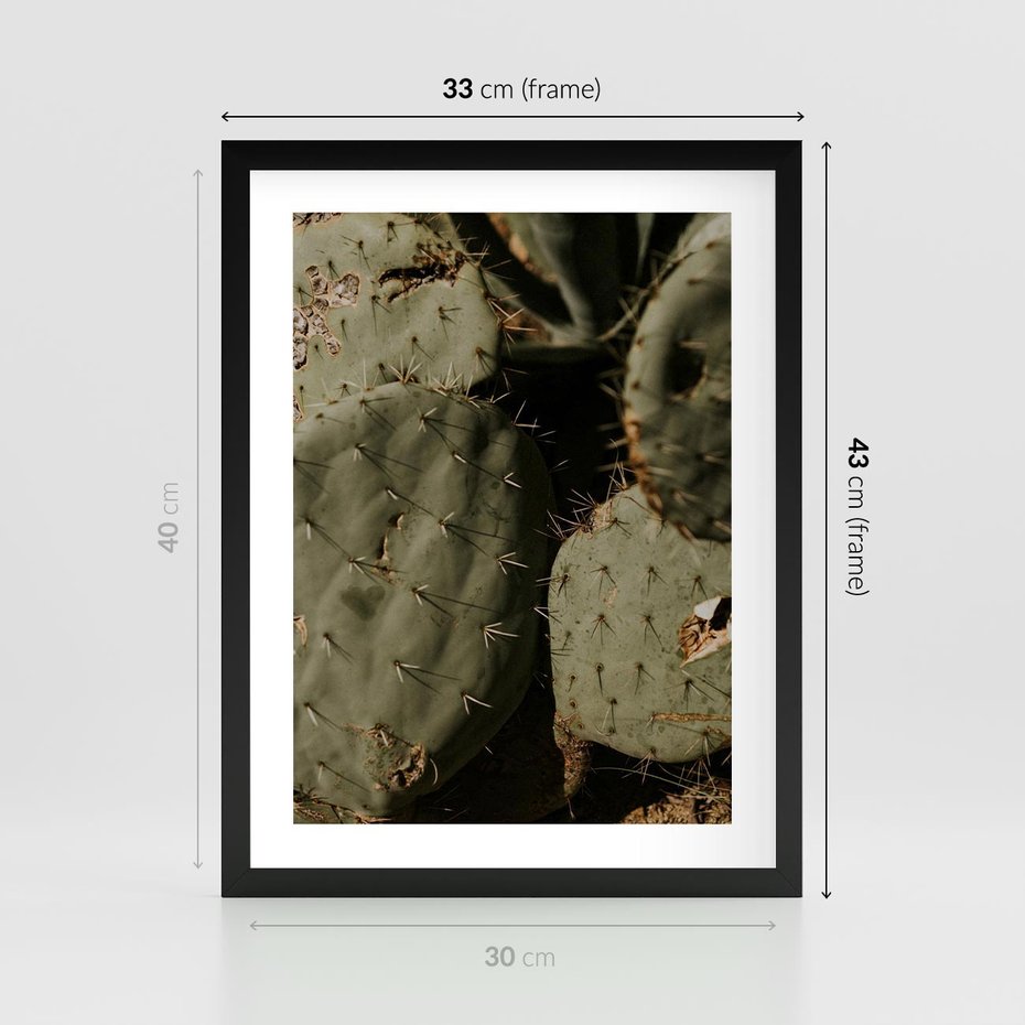 Plakat w ramie 30x40 - Urok Egzotyki - kaktusy, boho - rama czarna