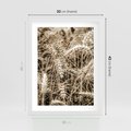 Plakat w ramie 30x40 - Zbliżenie na Kłosy Zboża - zboża, kłosy zboża - rama biała