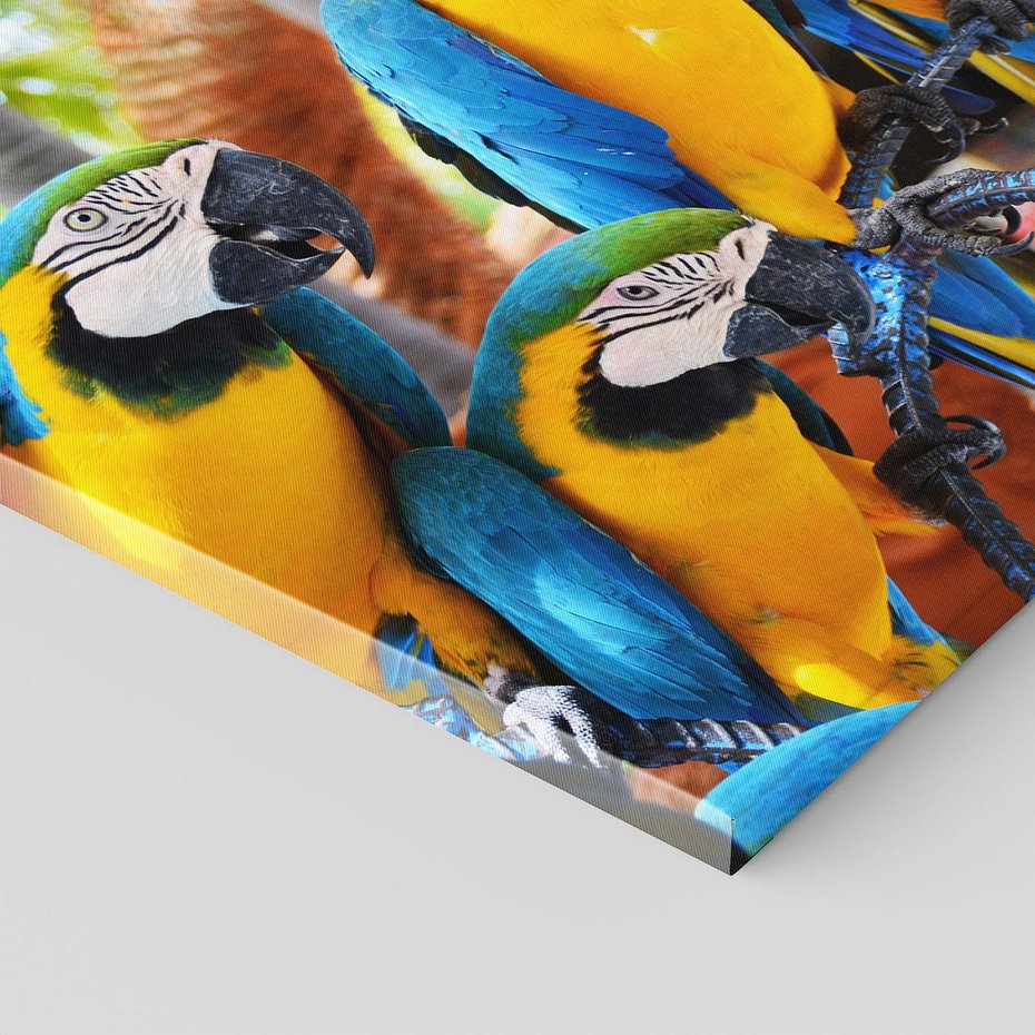 Obraz na płótnie 100x70 - Kolorowa parada papug - papuga, papugi