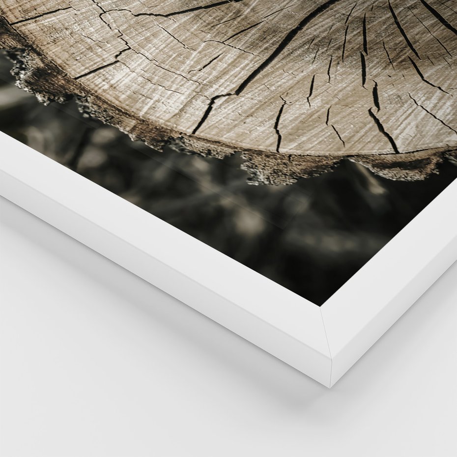 Zestaw obrazy w ramie 50x70 galeria - Stare, klimatyczne, domki, kłódka - rama biała