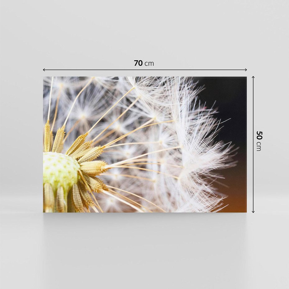 Obraz na płótnie 70x50 - Dmuchawiec: lekkość natury - dmuchawiec, natura