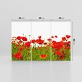 Obraz na płótnie 120x80 - Bujne maki na malowniczej łące - mak, maki