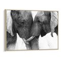Obraz w ramie 100x70 - Spotkanie Mądrości - fotografia czarno biała, dwa słonie - rama drewno