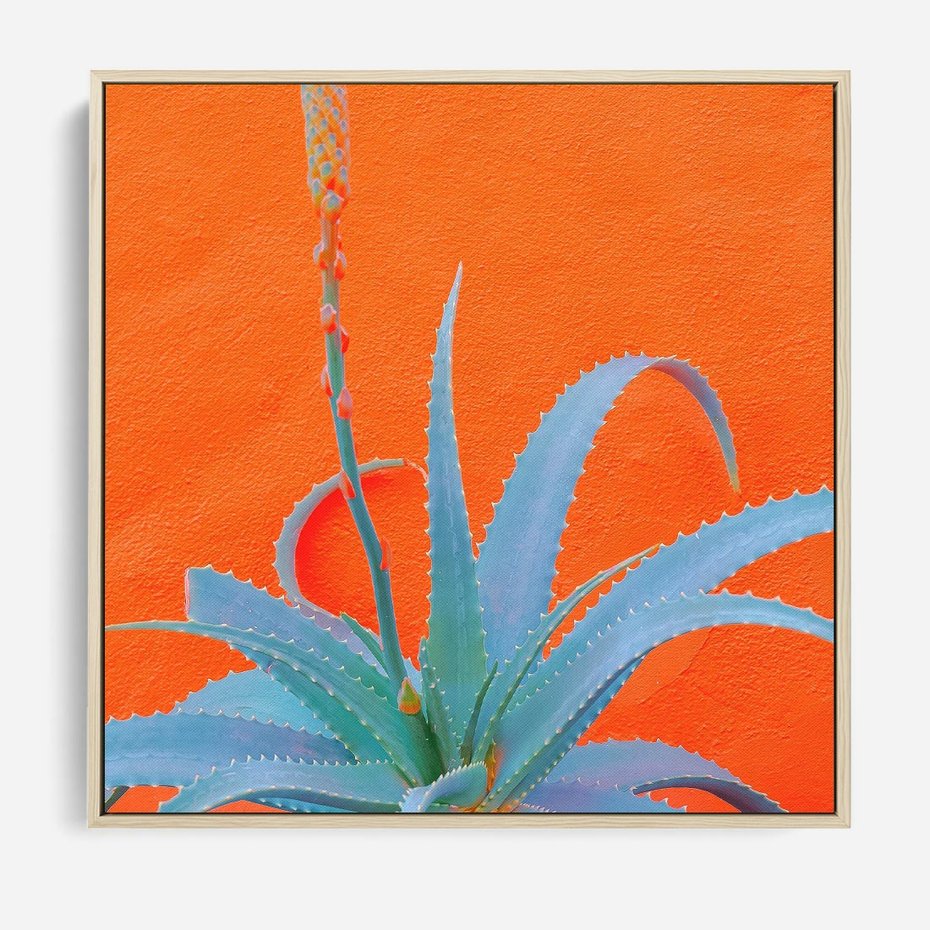 Obraz w ramie 50x50 - Naturalna Harmonia - kaktusy, liście - rama drewno