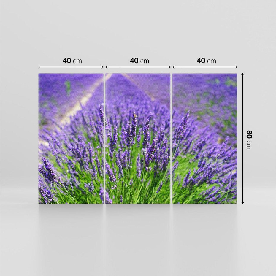 Obraz na płótnie 120x80 - Lawendowe pola piękno natury - lawenda, kwiaty