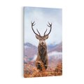 Obraz na płótnie 80x120 - Jeleń w Uśpionym Krajobrazie - jeleń na tle gór, ośnieżone góry