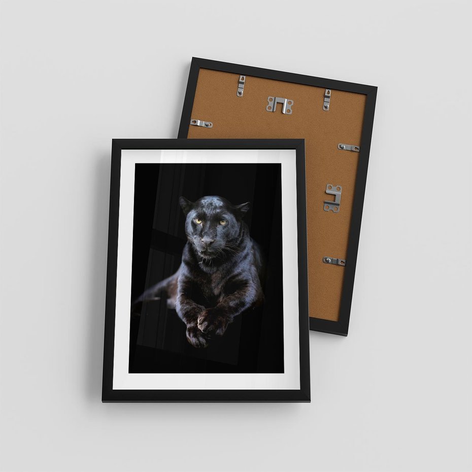 Plakat w ramie 30x40 - Czarna pantera: majestat i siła - czarna, pantera - rama czarna