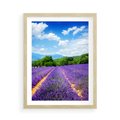 Plakat w ramie 50x70 - Prowansalska Lawenda - lawenda, prowansja - rama drewno