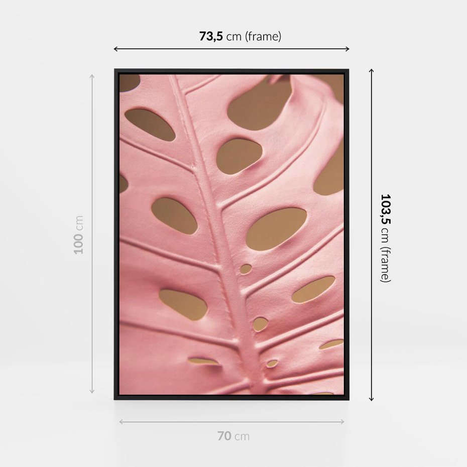 Obraz w ramie 70x100 - Różowa monstera w pełnym rozkwicie - różowa, monstera - rama czarna