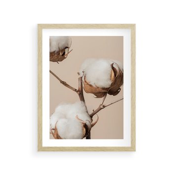 Plakat w ramie 50x70 - Bawełniana melancholia - bawełna, suche - rama drewno