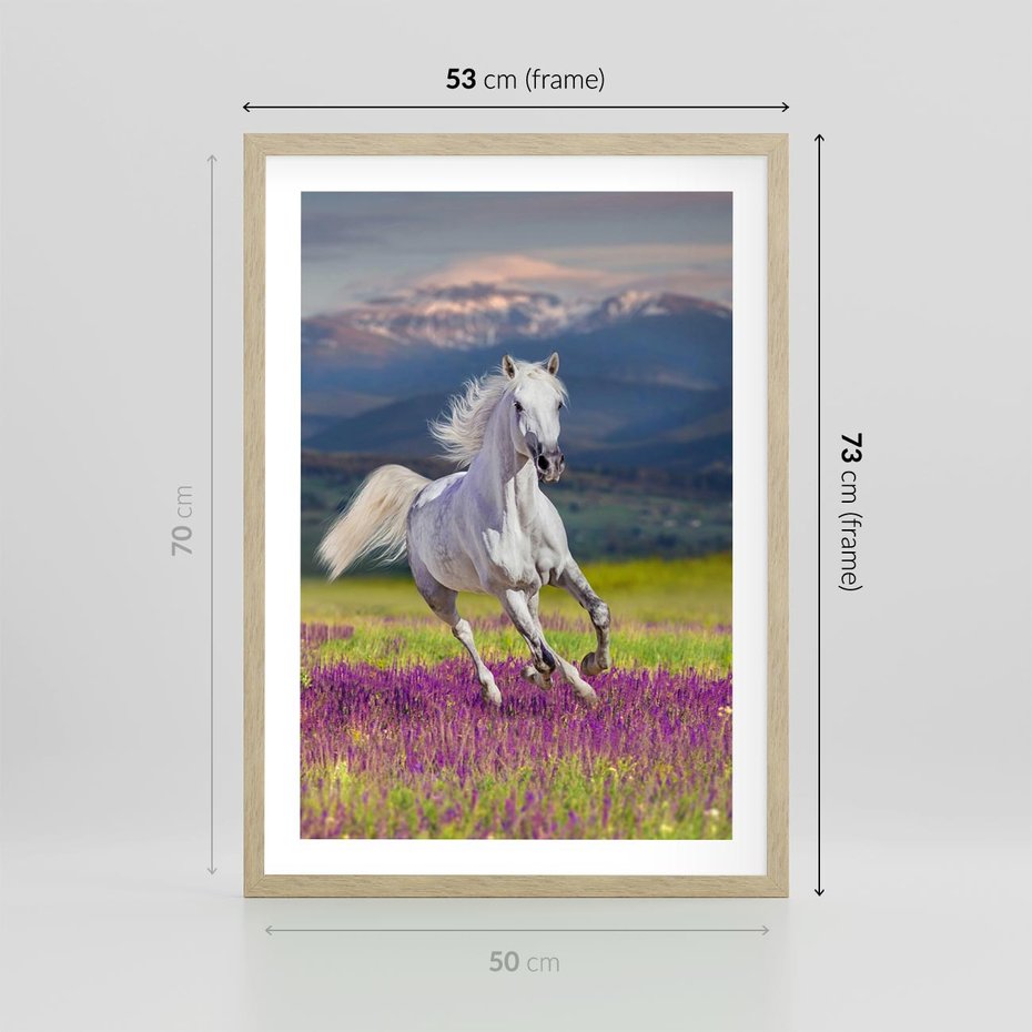 Plakat w ramie 50x70 - Koń Góry: Spotkanie z Wielką Przyrodą - koń, góry - rama drewno