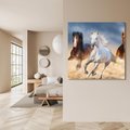 Obraz na płótnie 70x70 - Siła i elegancja - konie, galop