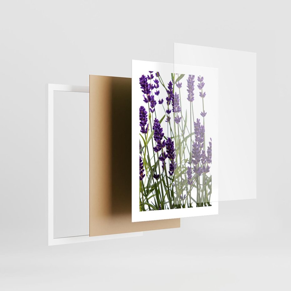 Plakat w ramie 30x40 - Fioletowa harmonia lawendy - lawenda, fiolet - rama biała