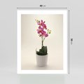 Plakat bez ramy 40x50 - Delikatność storczyka orchidei - storczyk, orchidea