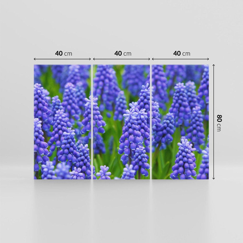 Obraz na płótnie 120x80 - Urok Lawendy - lawenda, kwiat