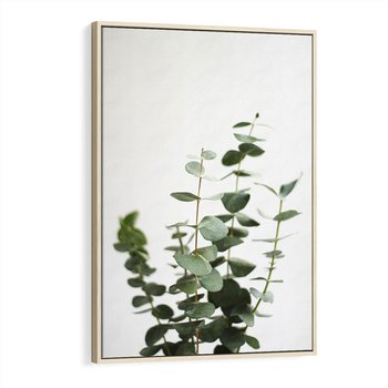 Obraz w ramie 80x120 - Żywa eukaliptusowa zieleń - eukaliptus, zielone - rama drewno