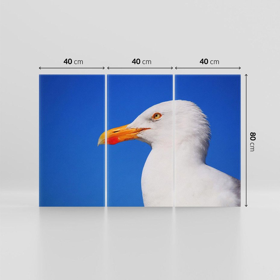 Obraz na płótnie 120x80 - Mewa nad morzem - mewa, pstak