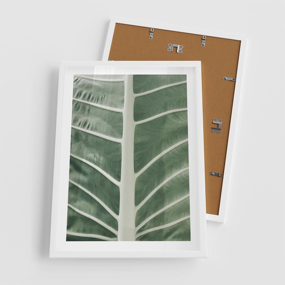 Plakat w ramie 50x70 - Zielone Wielkości: Zbliżenie Liścia - zbliżenie duz liść, jasna zieleń - rama biała