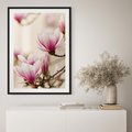 Plakat bez ramy 50x70 - Urok Magnolii - magnolie, kwiaty