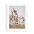 Plakat w ramie 50x70 - Boho Urok - trawy, pampas - rama biała