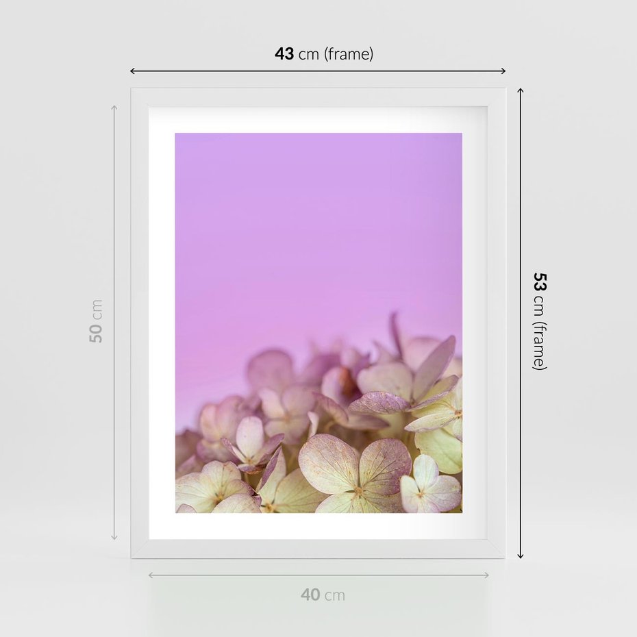 Plakat w ramie 40x50 - Kwiatowa Uroda - kwiaty, hortensje - rama biała