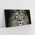 Obraz na płótnie 140x70 - Moc lewego spojrzenia - lew, czarno