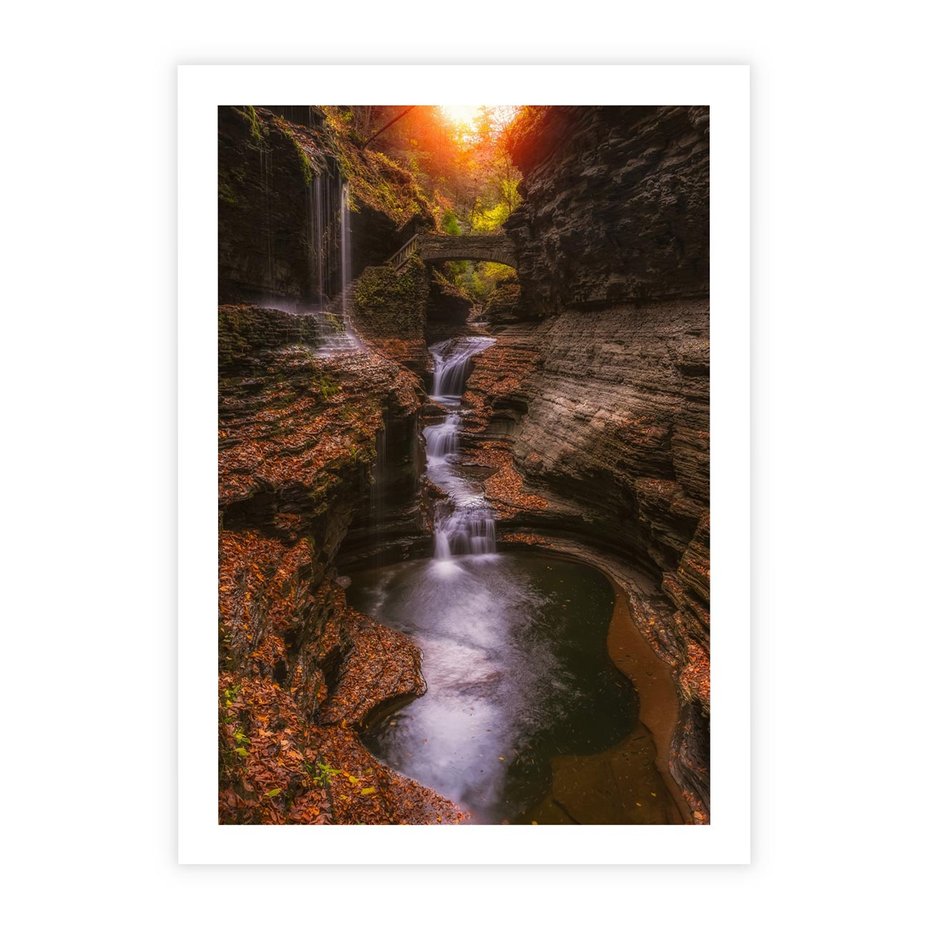 Plakat bez ramy 50x70 - Barwna Harmonia - strumień, las