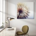 Obraz na płótnie 50x50 - Makro piękno dmuchawca - makro, dmuchawiec