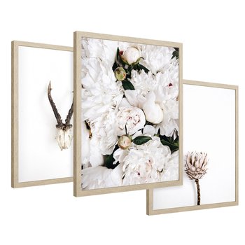 Zestaw obrazy w ramie 40x50 galeria - Kwiaty, boho, styl, minimalizm - rama drewno