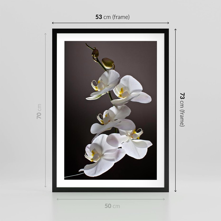 Plakat w ramie 50x70 - SPA: harmonia z kwiatami - spa, kwiaty - rama czarna