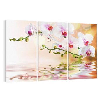 Obraz na płótnie 120x80 - Elegancja orchidei - orchidea, kwiaty