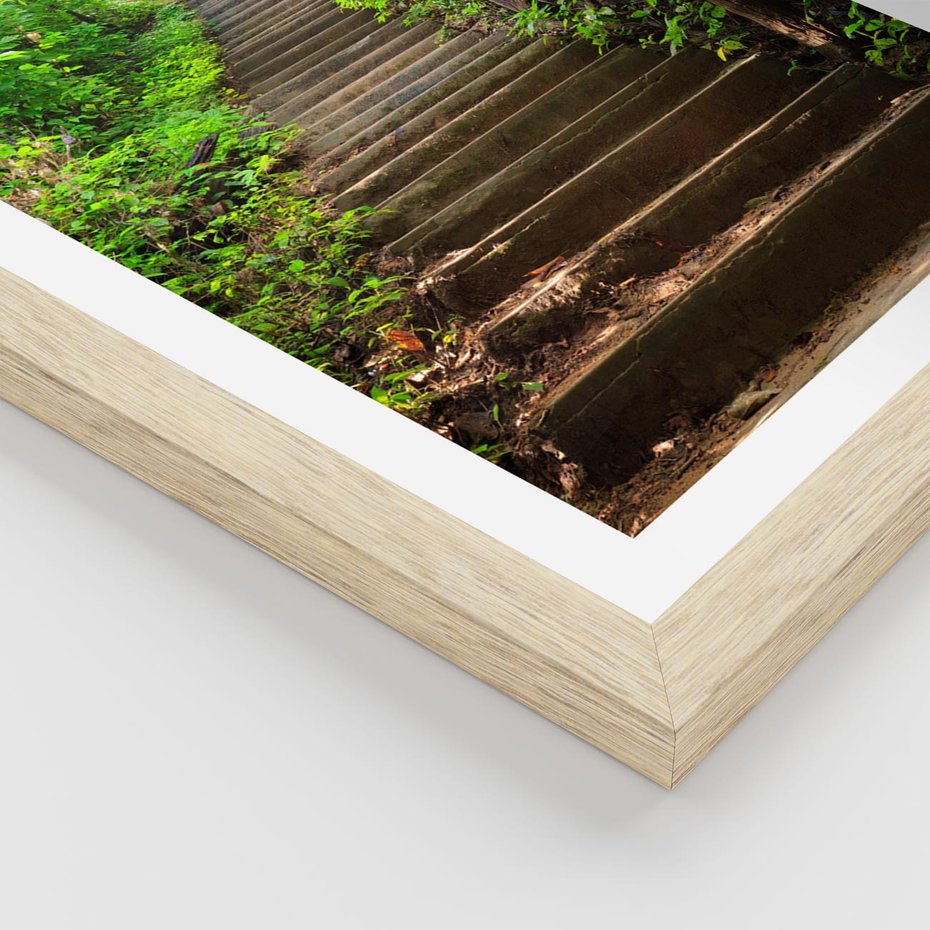 Plakat w ramie 40x50 - Lasowa ścieżka pełna tajemnic - ścieżka, schody - rama drewno