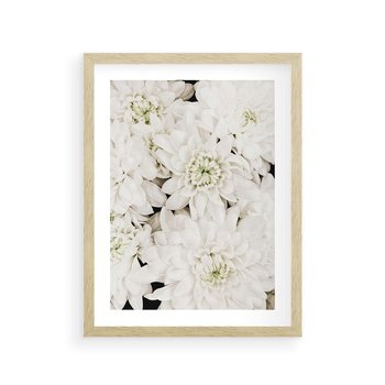 Plakat w ramie 50x70 - Białe Kwiaty: Płatki Delikatności - białe kwiaty, zbliżenie - rama drewno