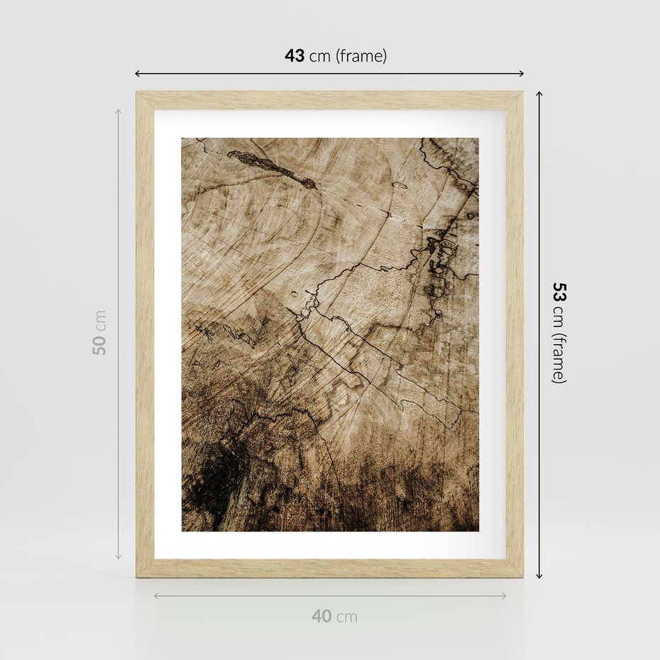 Plakat w ramie 40x50 - Słoje Natury - słoje drzewa, pieńdrzewa - rama drewno