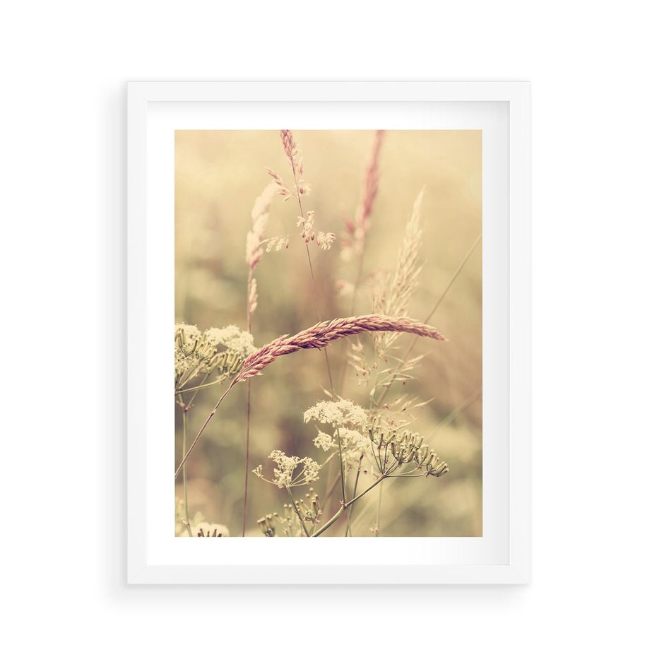 Plakat w ramie 40x50 - Boho Wizja - suszone, trawy - rama biała