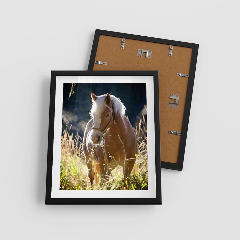 Plakat w ramie 40x50 - Spotkanie konia na łące - koń, łąka - rama czarna