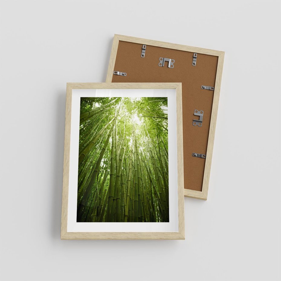 Plakat w ramie 30x40 - Siła Natury - drzewa, las - rama drewno