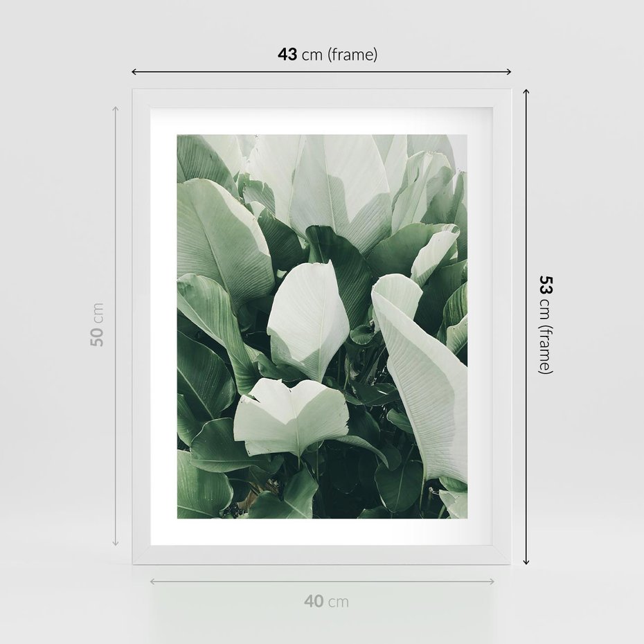 Plakat w ramie 40x50 - Zgaszona Uroda Natury - zielone liście, zgaszona zieleń - rama biała