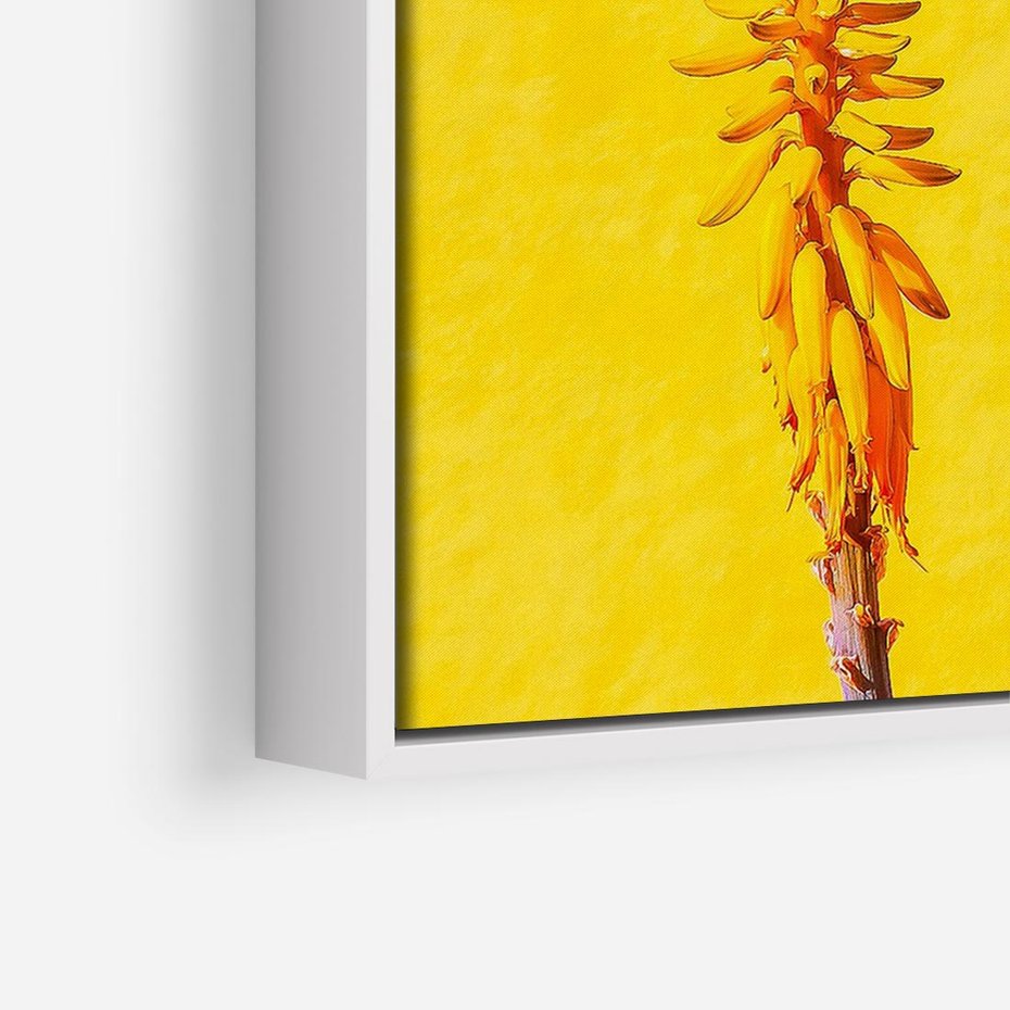 Obraz w ramie 70x50 - Radość Natury - kolor, kwiaty - rama biała