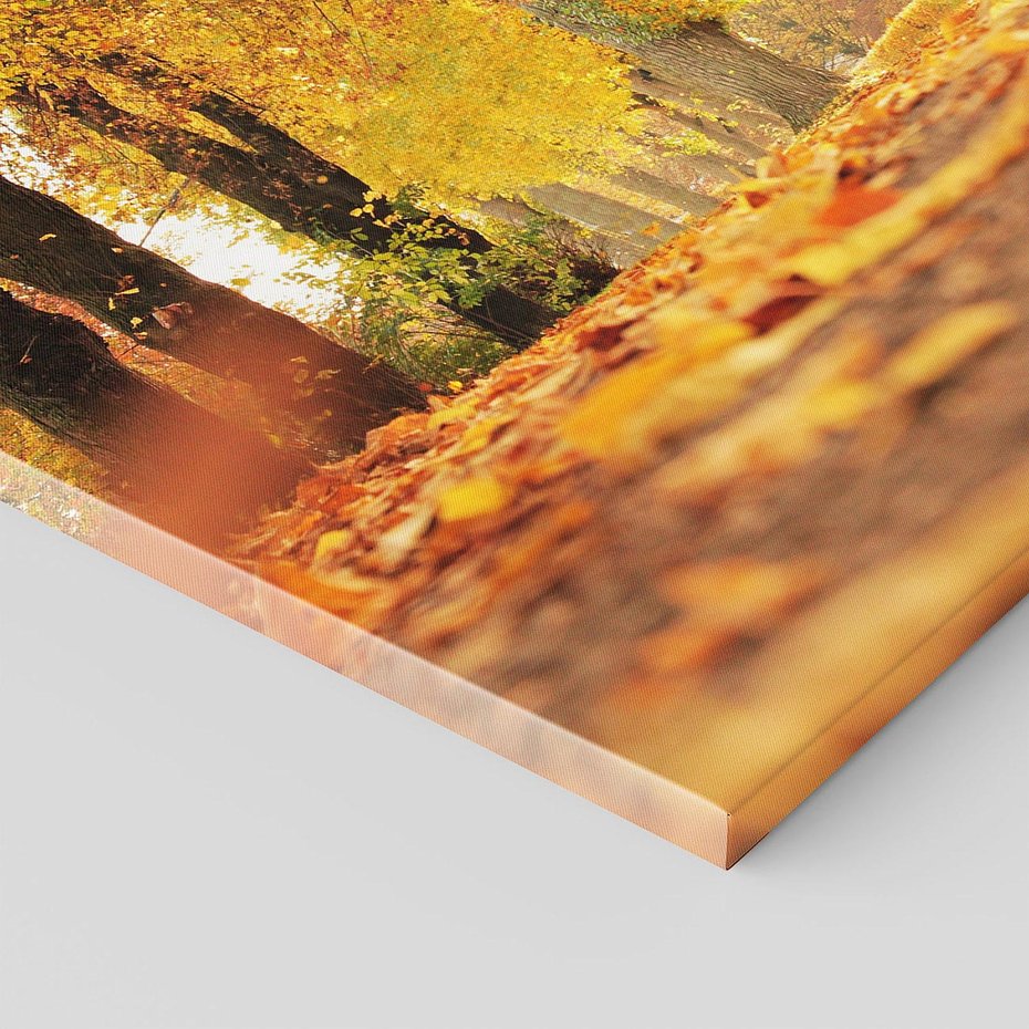 Obraz na płótnie 100x70 - Jesień, Liście, Park - Kolorowa Symfonia - jesień, liście