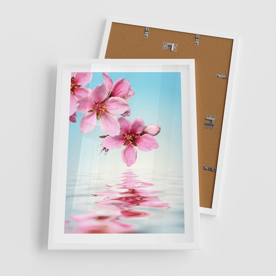 Plakat w ramie 50x70 - Magia kwitnącej wiśni - kwitnąca, wiśnia - rama biała