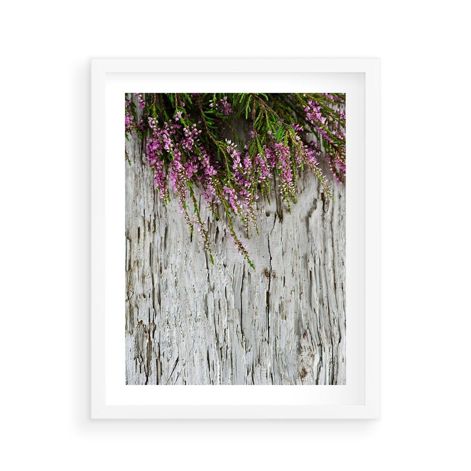 Plakat w ramie 40x50 - Fioletowe Wrzosy - wrzosy, fiolet - rama biała