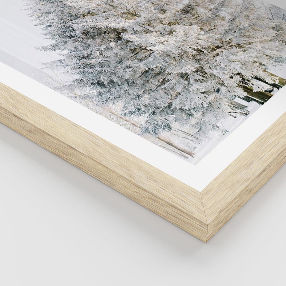 Plakat w ramie 50x70 - Zimowa Poezja w Ośnieżonym Drzewie - ośnieżone drzewo, zima - rama drewno