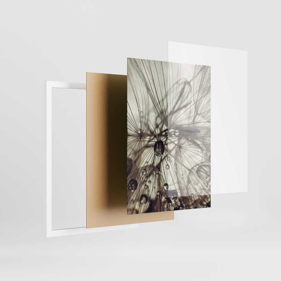 Zestaw obrazy w ramie 50x70 galeria - Dmuchawce, krople, wody, makro - rama biała