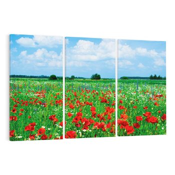 Obraz na płótnie 120x80 - Kolorowa łąka pełna maku - łąka, maki