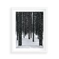 Plakat w ramie 40x50 - Zimowe Drzewa: Śnieg na Pniach - drzew w zimi, pnie drzew - rama biała