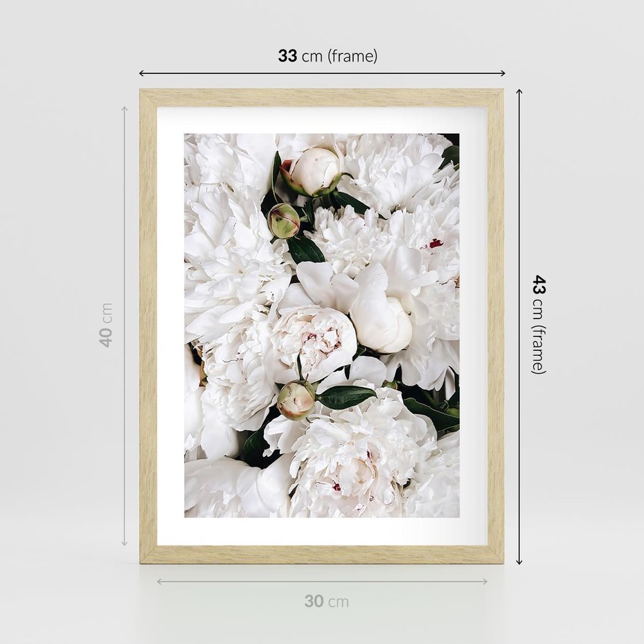 Plakat w ramie 30x40 - Modne Białe Kwiaty - białe kwiaty, płatki - rama drewno