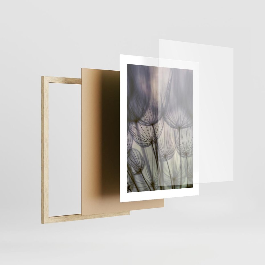 Plakat w ramie 30x40 - Makro dmuchawiec - piękno drobnych detali - dmuchawce, makro - rama drewno
